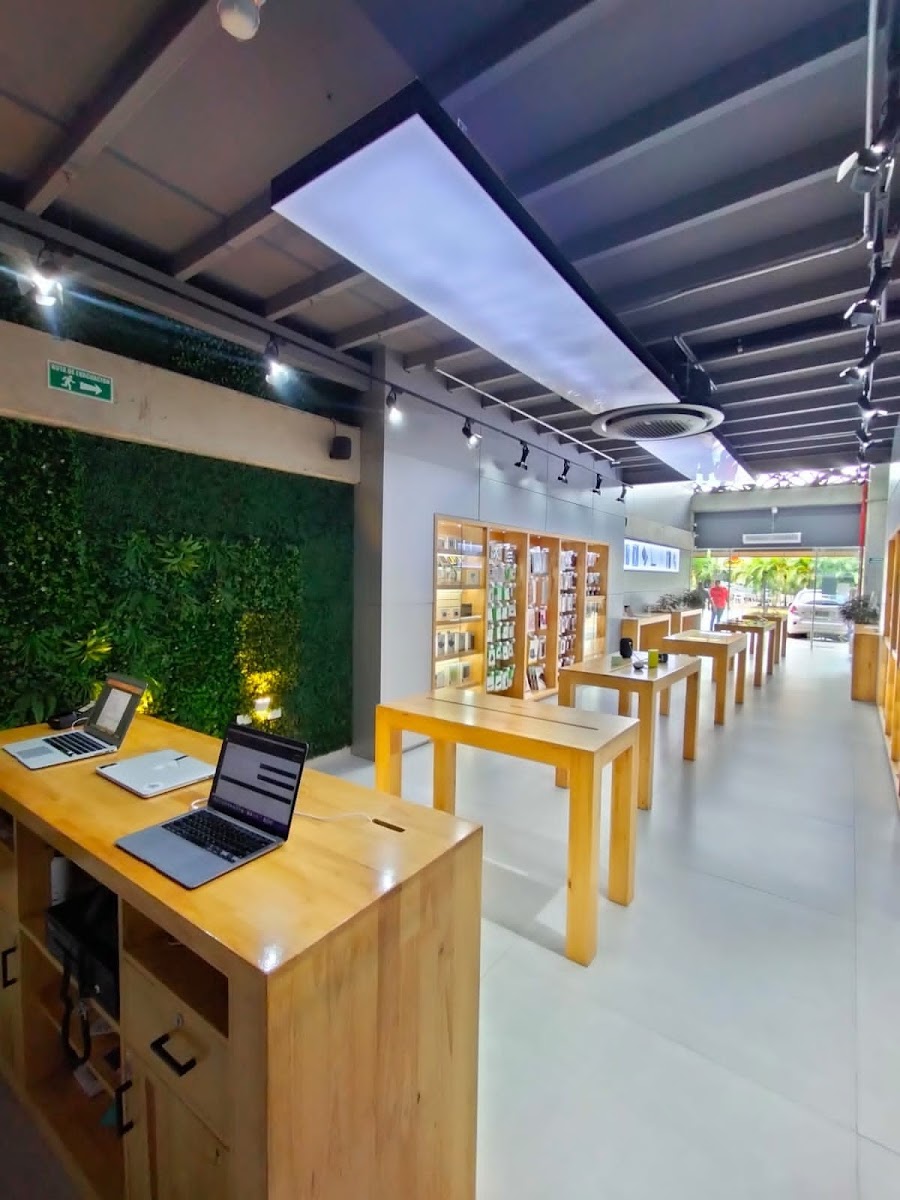 Local en Venta - Cerritos, Pereira, 204,002 m² (foto 7) — CREBI