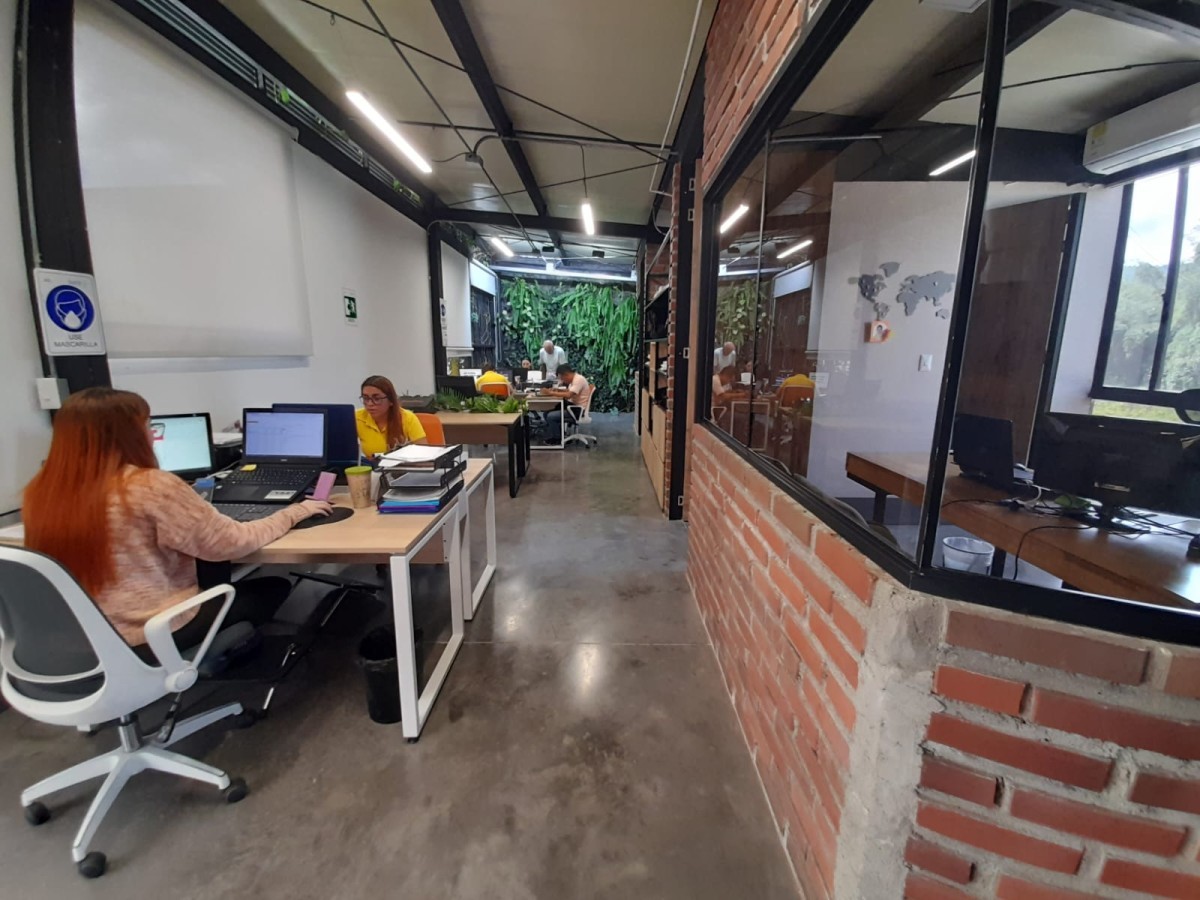 Oficina  en Arriendo - La Badea, Dosquebradas, 220,002 m² (foto 6) — CREBI